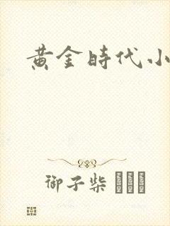 黄金时代小说
