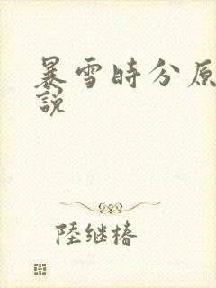 暴雪时分原著小说