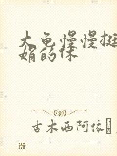 大龟慢慢挺进张娟的休