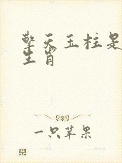 擎天玉柱是什么生肖