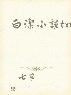 白洁小说txt