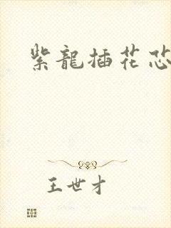 紫龙插花芯方正