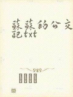 苏苏的公交车日记txt