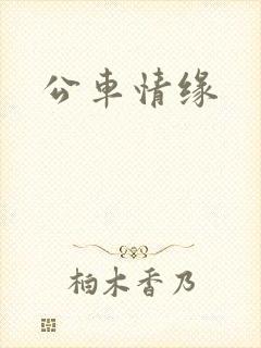 公车情缘