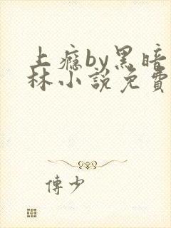 上瘾by黑暗森林小说免费