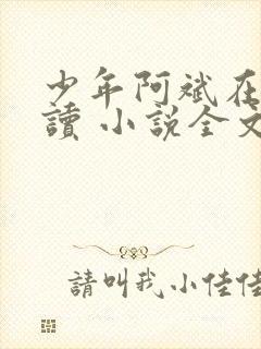 少年阿斌在线阅读 小说全文免费