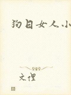 狗日女人小说