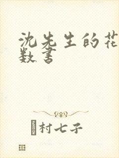 沈先生的花式调数书