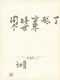 同时穿越了99个世界