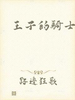 王子的骑士小说