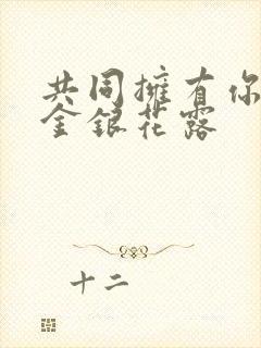 共同拥有你by金银花露