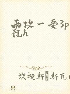 两攻一受3p双龙h