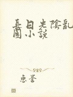 长日光阴乱作一团小说