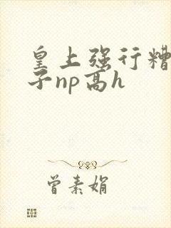 皇上强行糟蹋太子np高h