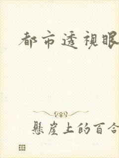 都市透视眼
