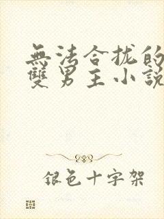 无法合拢的总裁双男主小说