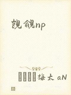 觊觎np