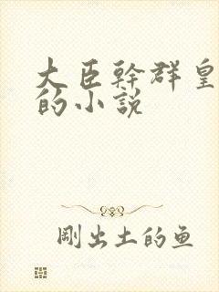 大臣干群皇太后的小说