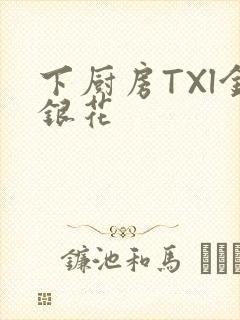 下厨房TXl金银花