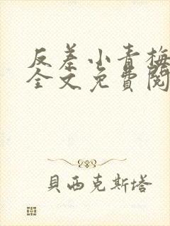 反差小青梅小说全文免费阅读