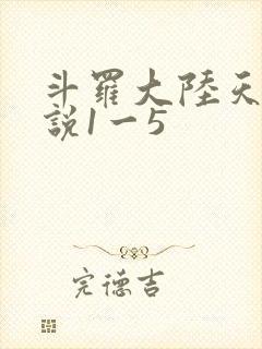斗罗大陆天狂传说1一5