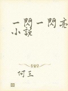 一闪一闪亮星星小说