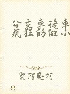 公交车后车座的疯狂的做小