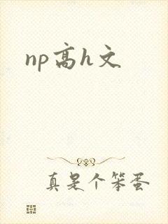 np高h文