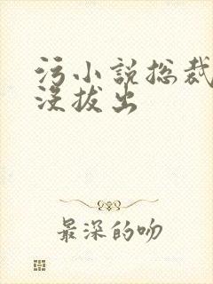 污小说总裁整夜没拔出