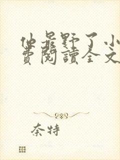 他最野了小说免费阅读全文