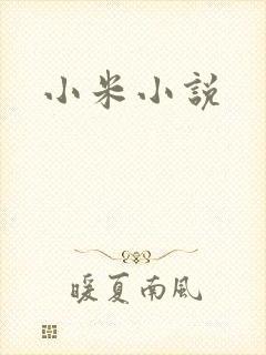 小米小说