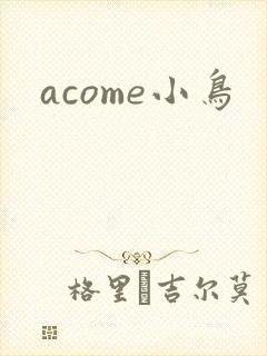 acome小鸟