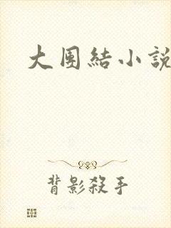 大团结小说全文