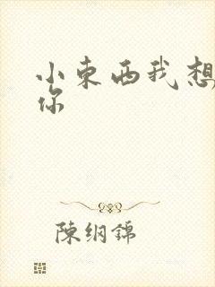 小东西我想弄坏你