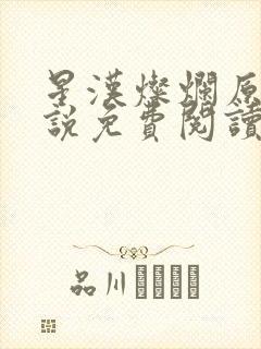 星汉灿烂原著小说免费阅读