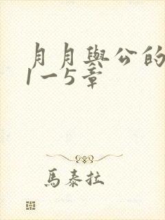 月月与公的激情1一5章