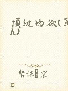 顶级肉欲(军高h)