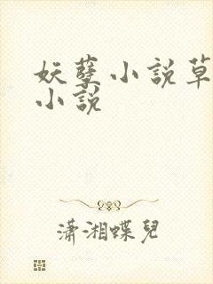 妖孽小说草莓酱小说