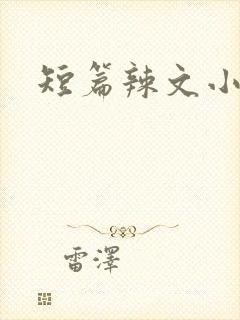 短篇辣文小说
