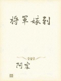 将军嫁到