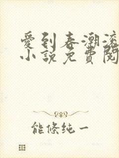 爱到春潮滚滚来小说免费阅读