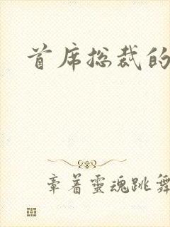 首席总裁的逃妻