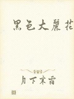 黑色大丽花图片