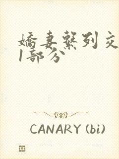 娇妻系列交换11部分