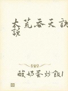 太荒吞天诀 小说