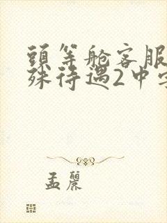 头等舱客服的特殊待遇2中字