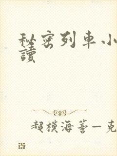 秘密列车小说阅读