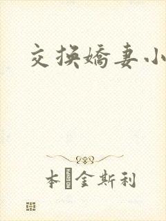 交换娇妻小说