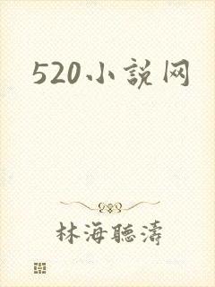 520小说网