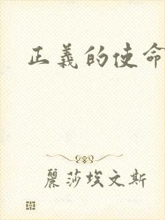正义的使命小说